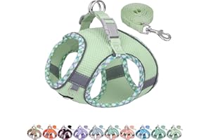 AIITLE Tiny Dog Harness - Lightweight Mesh Step-in Vest for Puppy, Reflective & Escape-Proof Design with High-Stick Magic Tape - Indoor/Outdoor Use for Chihuahua, Maltese, Shih Tzu(Sage, XXXS)