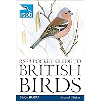 23 Most Common Birds In The UK: 2025 Guide - Foto 12