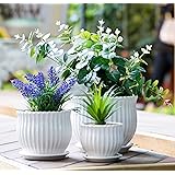 Nattol Keramik-Blumentöpfe mit Untersetzern, modern, rund, Keramik, Sukkulenten-Übertopf, weiß gestreift, klein bis mittelgro