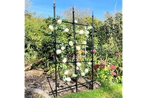 GardenSkill Garden Trellis for Climbing Plants | Metal Rose Fence Free Standing Screen for Borders Edging Plant Support Flower Clematis Vines | Rust-Proof Easy Build Panel (Black, 180x150cm High)