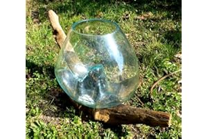 EXOTICA IMPORT Vase ou Aquarium en Verre soufllé sur Racine de Bois, Hauteur Environ 20cm, modèle Unique. Choix sur Photos ENVOYEES Suite A Votre Commande avec Les Dimensions. Vendeur Francais.