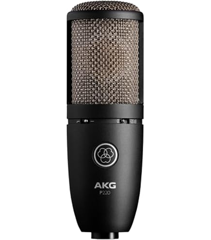 AKG C411 L : Amazon.fr: Autres