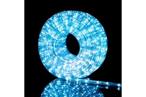 Nataland Tubo Luminoso 30 Metri con 720 Led, Controller 8 Funzioni Con Illuminazione Per Interno Ed Esterno, Perfetto Per Decorare Casa, Giardino, Vetrine e Negozio (Bianco Freddo, 720 Led - 30 Metri)