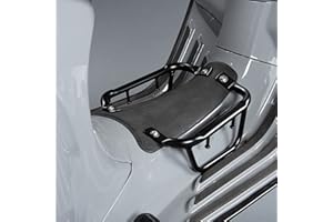 Fayedenicy Mittelfußpedal Gepäckträger für Vespa Sprint 50/125 (2014-2022), Sprint 150 (2016-2018), Primavera Spring 50/125/150 (2014-2022) - Schwarz