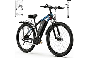 ZENOVAX THE X FACTOR IN EXCELLENCE Electric Bike C29, 29'' E-Mountain Bike with 48V 15Ah Removable Battery & 250W High-Performance Motor, Professional 21-Speed with LCD Display, Electric Bicycle for Adults