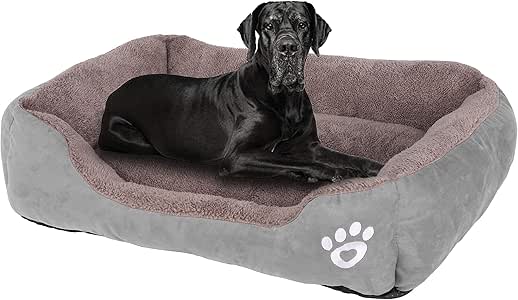 amazon xl dog bed