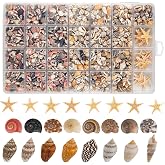 SKOOLOVE 1200 Pcs Small Shells and 30 Starfish, Mixed Beach Shells for Home Decor, Beach Parties, Aquariums, Crafts, Vase Fil