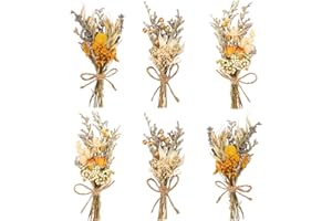 LAUMOE 6 Pcs Fleurs Séchées, Fleur Séchée Bouquet de Fleurs Séchées Fleurs Sechees Vrac Fleur Sechees Decoration pour Scrapbooking Bougie Bricolage Résine Époxy Floral Fabrication (Style 4)