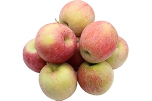 ‎BLEICHHOF BLEICHHOF® Apples Fuji - Sweet and Very Juicy Variety from the Palatinate, New Harvest (5 kg)