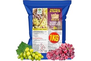 Albagarden - Polti20 Bordolese Biologico 1 Kg - Con Rame Naturale + Boro Per Piante Frutta Orto Vite - Contro Peronospora Oidio Verderame Solfato Ossicloruro