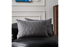 Topfinel Juego de 2 Cojines Fundas Decorativa Terciopelo Hogar Almohadas Fundas Estampado para Cama Sofás Silla Sala de Estar Dormitorio Sala de Estudio Jardín Coche 30x50cm Gris