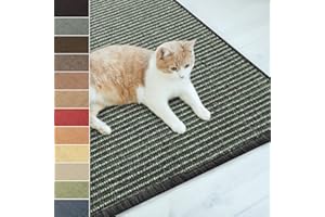 Floordirekt Sizal wycieraczka, dywan do drapania, mata sizalowa, odporna i dostępna w wielu kolorach i rozmiarach (50 x 50 cm, szara)