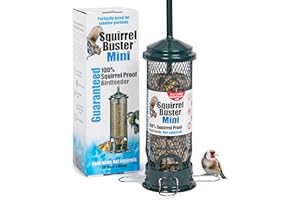Squirrel-proof Bird Feeder for Small Birds - Jacobi Jayne Squirrel Buster Mini – Pigeon Proof Metal Bird Seed Feeds for Wild Birds – Easy Clean Hanging Bird Feeder for Garden Birds