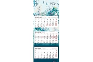 ‎ALPHA EDITION Alpha Edition - 3-Monatskalender Design 2026 – Wandkalender 33 x 80cm mit 3 Monaten im Überblick & Datumsschieber, faltbarer Büro- & Organisationskalender für Homeoffice, Arbeit & Termine