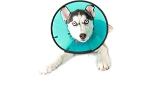 MDC Smart Collar Size 2 Medium (Neck 23-30cm)-Assortment