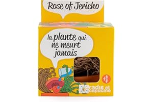 Radis et Capucine - Kit avec Rose de Jericho plante du désert à Faire revivre avec de l'eau