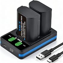 2 Batterie DMW-BLK22 Con Caricatore USB-C Per Panasonic Lumix S5, GH6, G9, G9 II E GH7