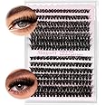 Moyutt Wispy Lash Clusters 260Pcs Fluffy Individual Eyelashes 80P+100P Eyelash Clusters Russian D Curl Lashes Individual Cluster Natural Look Eyelash Extensions DIY at Home (80P+100P,8-16MM)