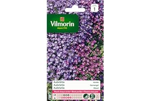 Vilmorin- Aubriéta en mélange - semences pour plantations - Fleurs Basses 15 cm vivaces - fleurit Chaque année - Floraison précoce, Bleu