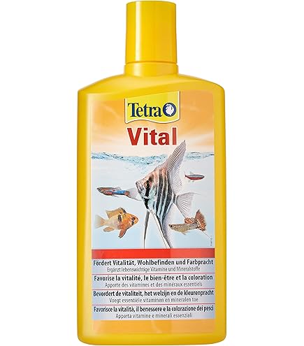 Multivitamine vitamines I - vitamine C, B complex, vitale st