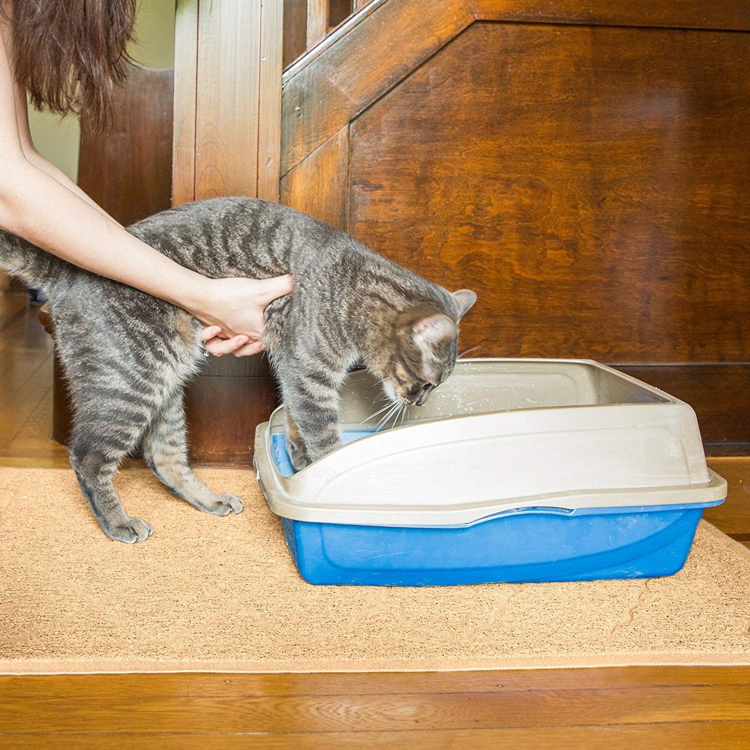 Premium Cat Litter Mat XL super size Best extra large Scatter