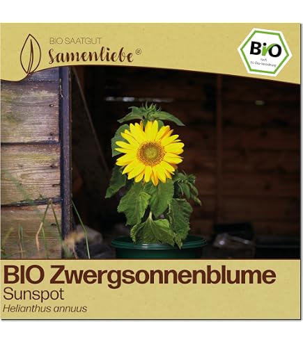 wie lange hält ein künstlicher weihnachtsbaum Künstlichen Weihnachts-/Tannenbaum online kaufen bei FLORADE – Florade.de main image 1