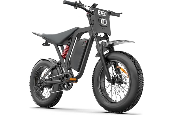 DEEPOWER Ebike