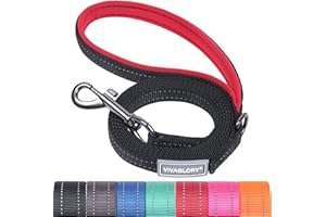 VIVAGLORY Dailyx Dog Lead, Dog Leash for Training & Walking with Soft Padded Handle, Heavy Duty & Double Layer Nylon for Pet Puppy, 180 x 1.4cm, Black