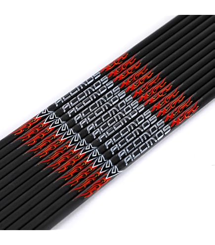 12 Flèches Carbone Personnalisables Longueur 22-32" Spine 400 à 1000 Pour Arc Recurve 40 LB - Chasse Entraînement