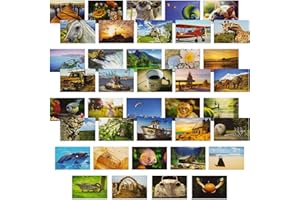 BEST PAPER GREETINGS 40 Pack Bulk Animal and Travel Postcards From Around the World for Mailing, Assorted Nature Thank You Notes (10 x 15 cm)