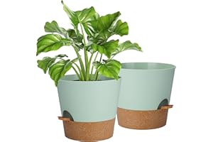 IDEALIFE 10 Inch Maceta con Plato, 2 Packs Macetas Plástico Maceteros Decorativos Interior con Agujeros de Drenaje,Riego Automático Macetas para Plantas Flores,Decoración del Hogar Balcón Jardín