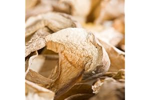 Die Trüffelmanufaktur - Feinkost Steinpilze getrocknet, Edelpilz mit geringem Stielanteil, perfekt zu Pasta, Gemüse, Fisch und Fleisch, getrocknete würzige Stein-Pilz-Scheiben im 50 g Glas