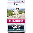 eukanuba jack russell