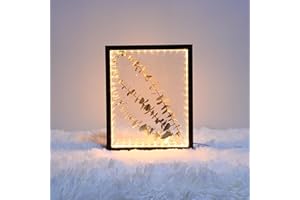 HanYun 3D Bilderrahmen Zum Befüllen mit LED-Lichterketten, 21.5X26.5cm Bilderrahmen Schwarz n tiefer 3.8cm, Objektrahmen 3D Rahmen für Objekte Bilder Blumen Erinnerungsbox für Andenken