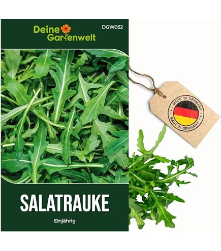 SPERLI Wilde Rauke Saatgut – Intensiv-pikantes Würzkraut Für Die Mediterrane Küche, Mehrjährig, Für Salat & Als Gewürz