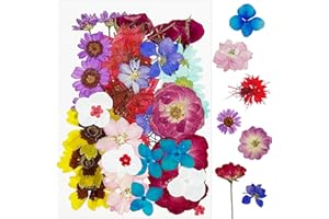 Cayway 36 sztuk naturalne prasowane suszone kwiaty suszone kwiaty naturalne suszone kwiaty do żywicy, suszone kwiaty tłoczone do świec DIY biżuteria żywica udział