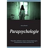 Darstellung Selbsterlebter Mystischer Erscheinungen Der Am Besten Dokumentierte Spuk Fall Der Geschichte Dr Walter V Lucadou Physiker Und Psychologe Ebook Joller Melchior Bertram Dirk Amazon De Kindle Shop