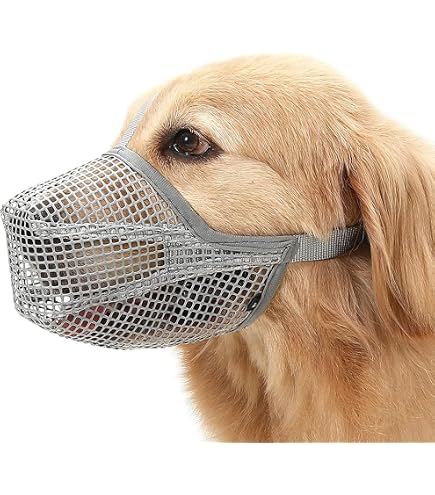 Museruola Per Cani Piccola E Media Taglia - 2 Pezzi, Rete Morbida, Regolabile, Antiabbaio E Antimorso
