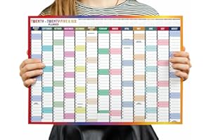 HLDI Agenda da parete 2025 e 2026, formato A2, calendario accademico di metà anno, grafico annuale, grande planner annuale da agosto ad agosto, organizer completo per anno accademico, scuola, ufficio