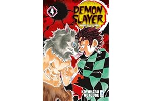 Demon slayer. Kimetsu no yaiba (Vol. 4)