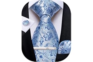 DiBanGu Men's Silk Woven Necktie Paisley Floral Tie Set with Pocket Square Cufflinks Tie Clip for Wedding Business