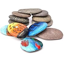 Yuaaoh Sassi Da Dipingere 12 Pezzi Pietre Piatte Per La | FindTheDeal