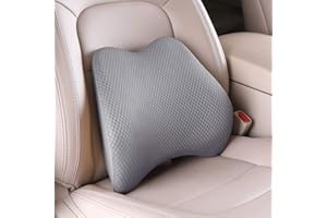 Livtribe Lumbar Support Pillow for Car, Memory Foam Back Support Cushion Universal Fit for Car, SUV, Truck, Office Chair, Wheelchair (Gray)
