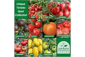 NOJAUS SĖKLOS Nojus - Set di semi di pomodoro - 10 varietà - Kit di avviamento - 10 confezioni - Semi Scatola di verdure 10 varietà - Scatola di semi
