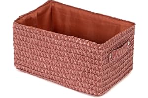 Compactor Lilou Cestino Portaoggetti Intrecciato con Manici, Polipropilene e Cartone, 23 x 15 x 12 cm, Terracotta, RAN9698