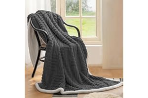Homebliss Coperta Plaid Pile Sherpa 220 x 240 cm, Coperta Calda e Confortevole Flanella- Certificata Oeko-TEX®, Copri Divano,Copriletto,Plaid Matrimoniale Divano Fluffy di Alta qualità-Grigio Chiaro