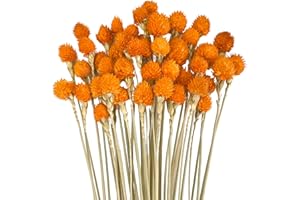 RUGBOL 45 Pcs Dried Flowers, Dried Strawberry Flowers decor Natural Ear of Grain Dry Grass Bunch DIY Arrangets for Your Home Bedroom and Living Room Decor (Orange)