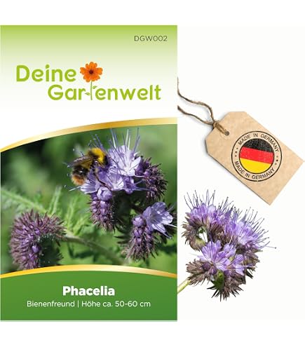 Blumixx Fingerhut ‚Alba‘ – Weißer Garten-Fingerhut, Winterharte Staude Für Halbschattige Beete