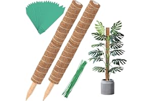 AUGSHY Moss Poles - 4 Pcs 12 Inches Coir Totem Poles Monstera Plant Stakes for Indoor Creepers Plant Support Extension