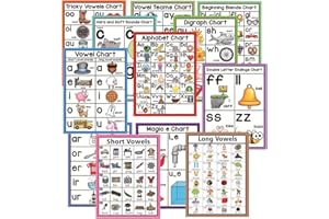 HONTOUSIP Juego de 12 pósteres de fonética inglesa para jardín de infancia, gráficos de fonética de pared para niños pequeños, decoración de aula, carteles de aprendizaje para guardería, 21 x 29,7 cm
